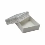 Custom Presentation Packaging Boxes